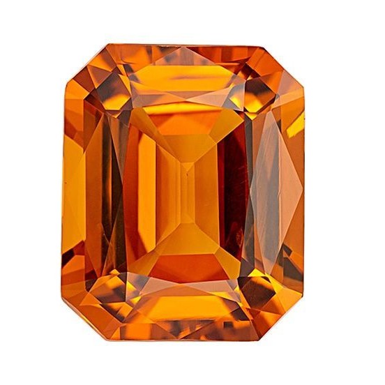 WhatsApp Image 2025 11 18 at 8.16.52 PM