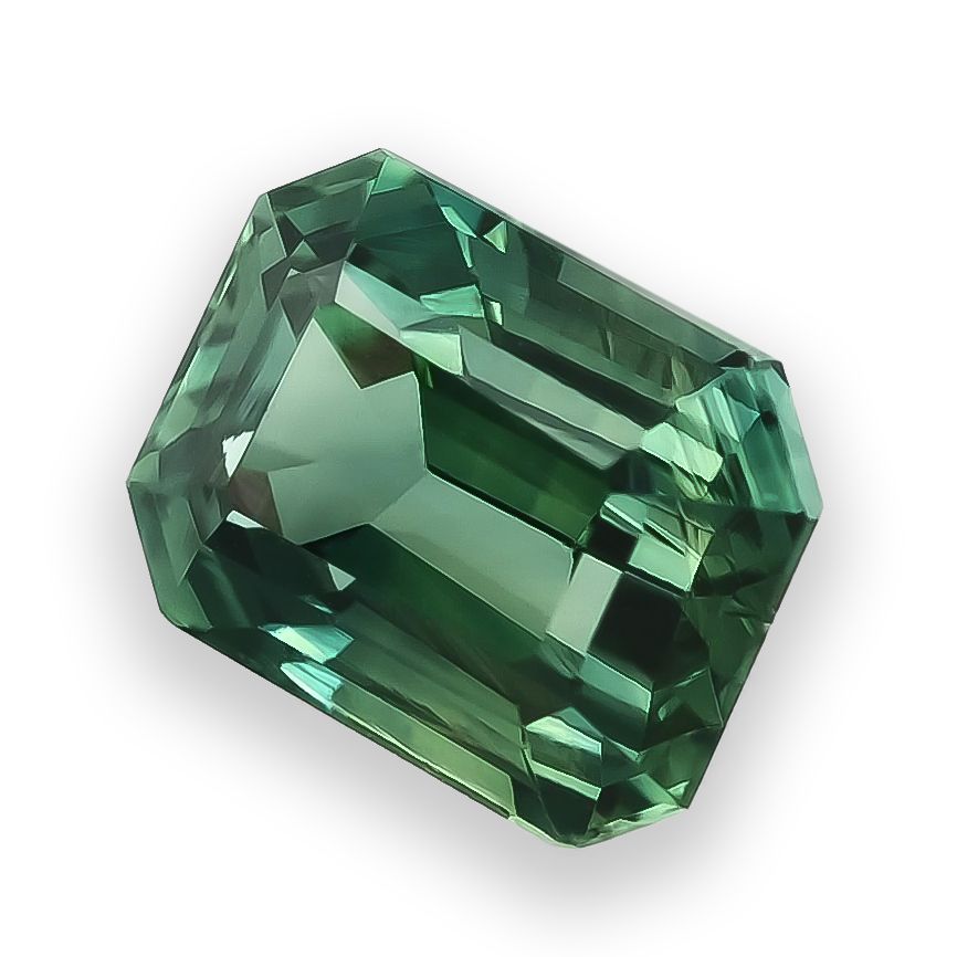 WhatsApp Image 2025 11 18 at 8.19.54 PM