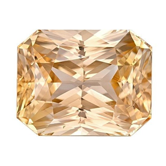 WhatsApp Image 2025 11 18 at 8.22.10 PM