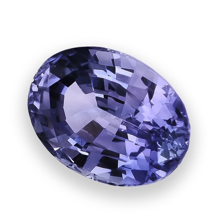 WhatsApp Image 2025 11 18 at 8.23.50 PM