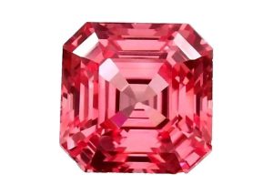 WhatsApp Image 2025 11 18 at 8.41.50 PM