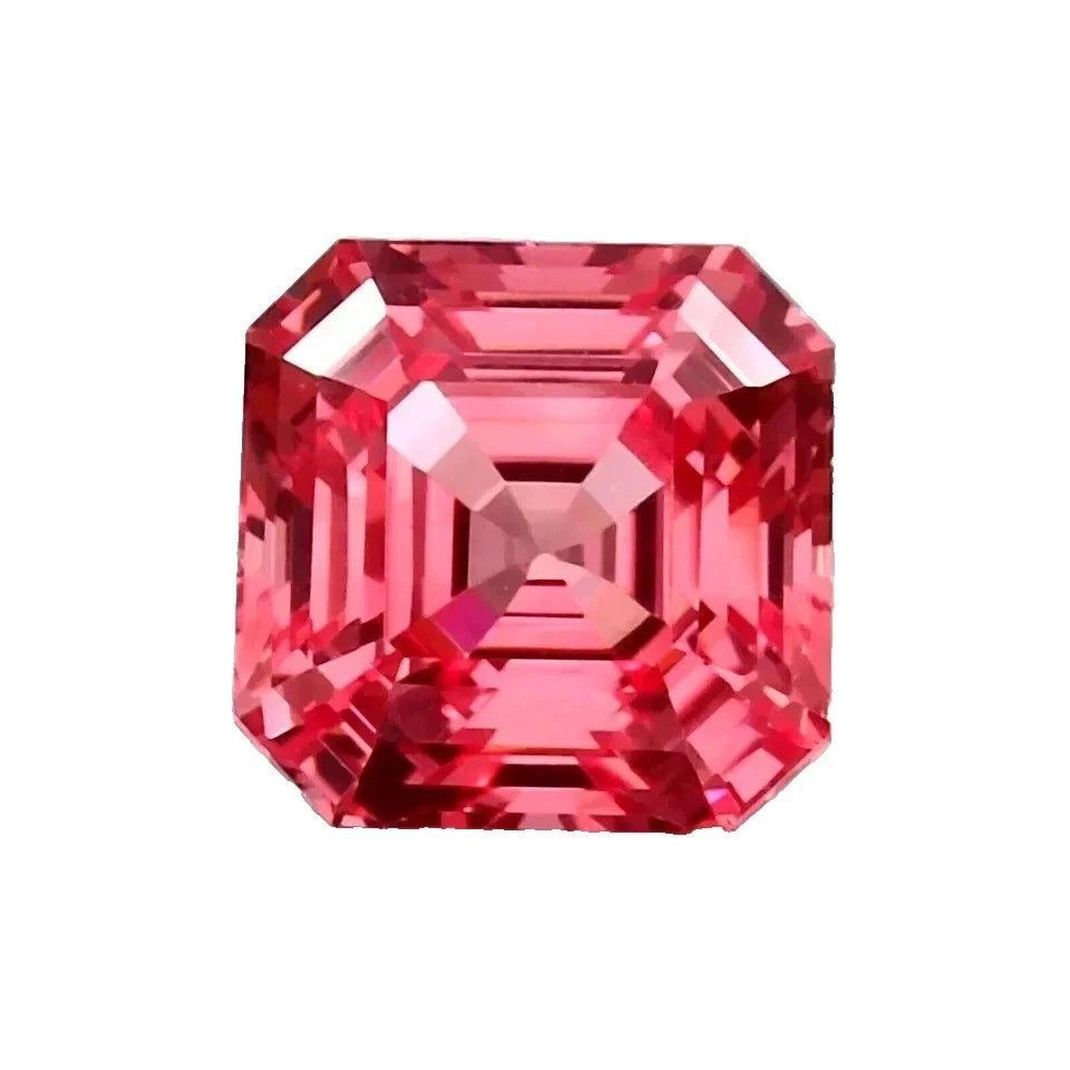 WhatsApp Image 2025 11 18 at 8.41.50 PM