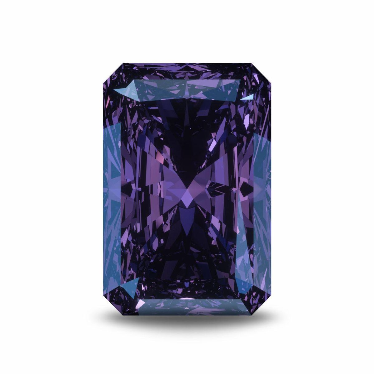 WhatsApp Image 2025 11 18 at 8.56.01 PM