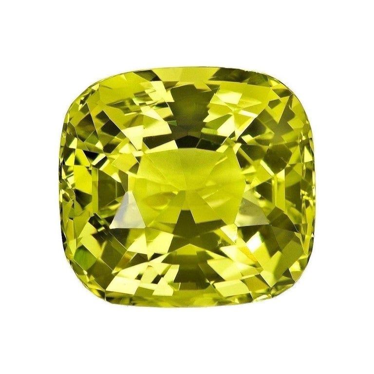 WhatsApp Image 2025 11 18 at 8.57.40 PM