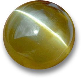 WhatsApp Image 2025 11 18 at 8.59.33 PM