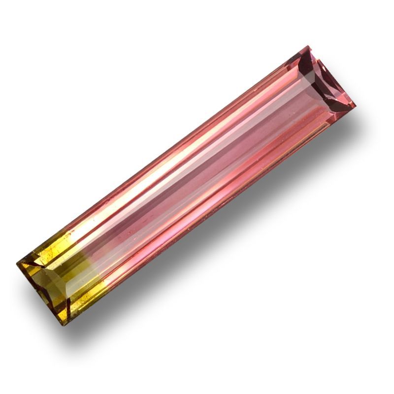 WhatsApp Image 2025 11 18 at 9.07.08 PM