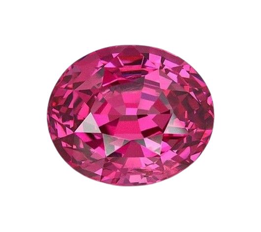 WhatsApp Image 2025 11 18 at 9.15.32 PM